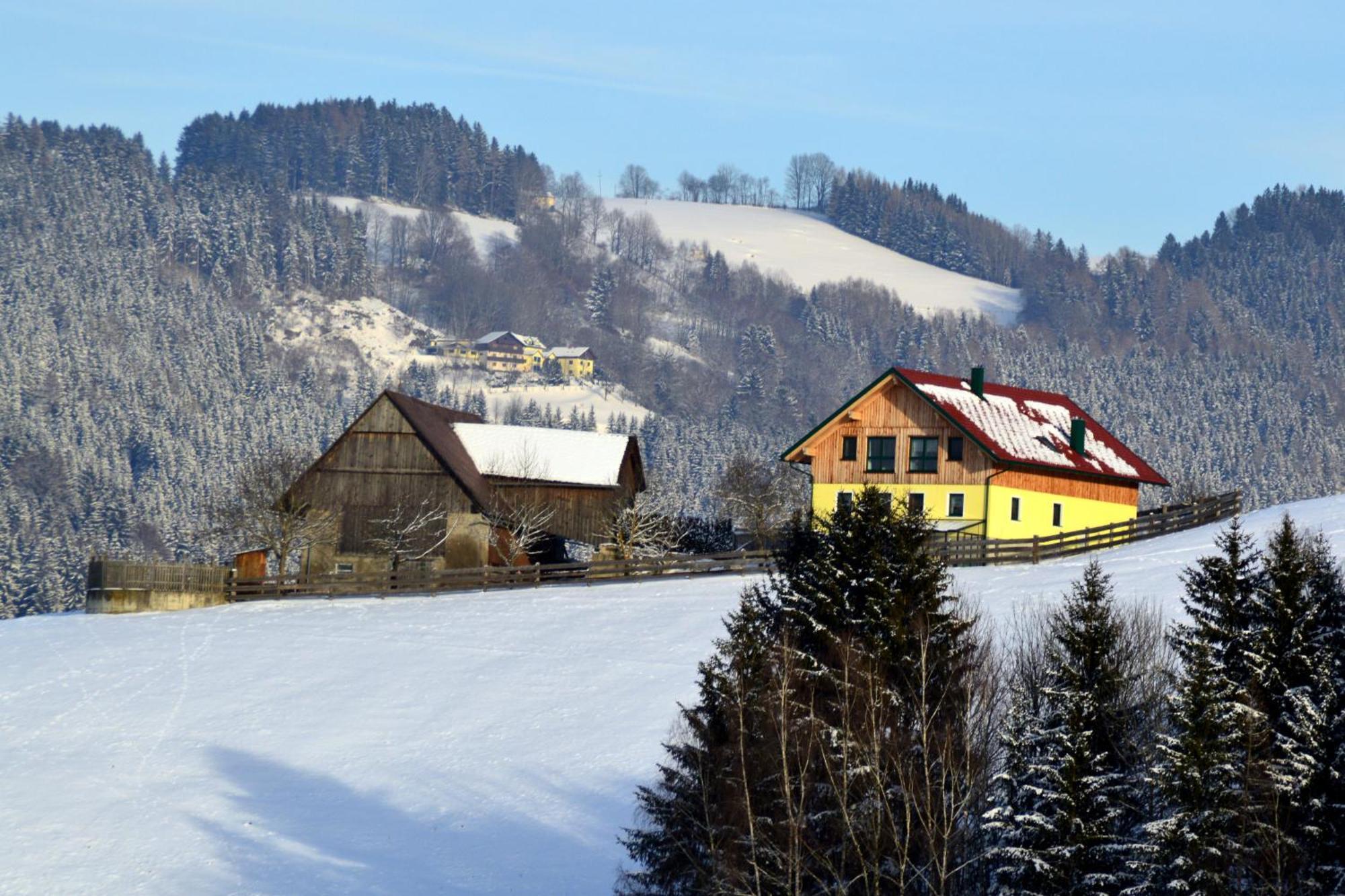 Almferienhaus Russmann Frantschach Exterior foto