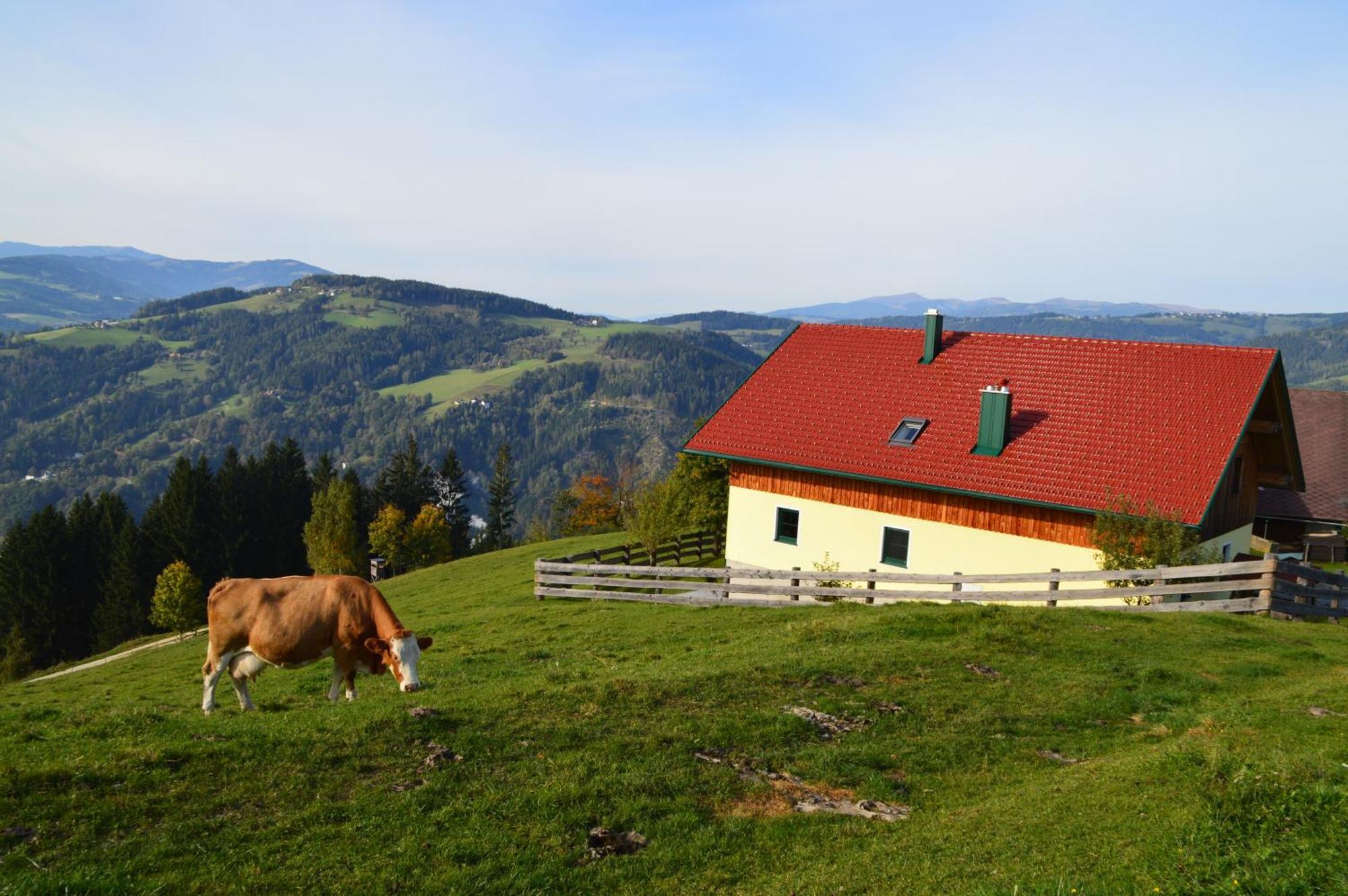 Almferienhaus Russmann Frantschach Exterior foto